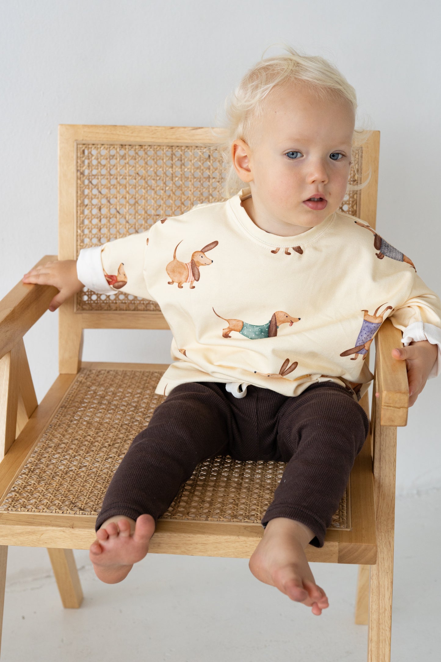 Longsleeve JAMNIKI