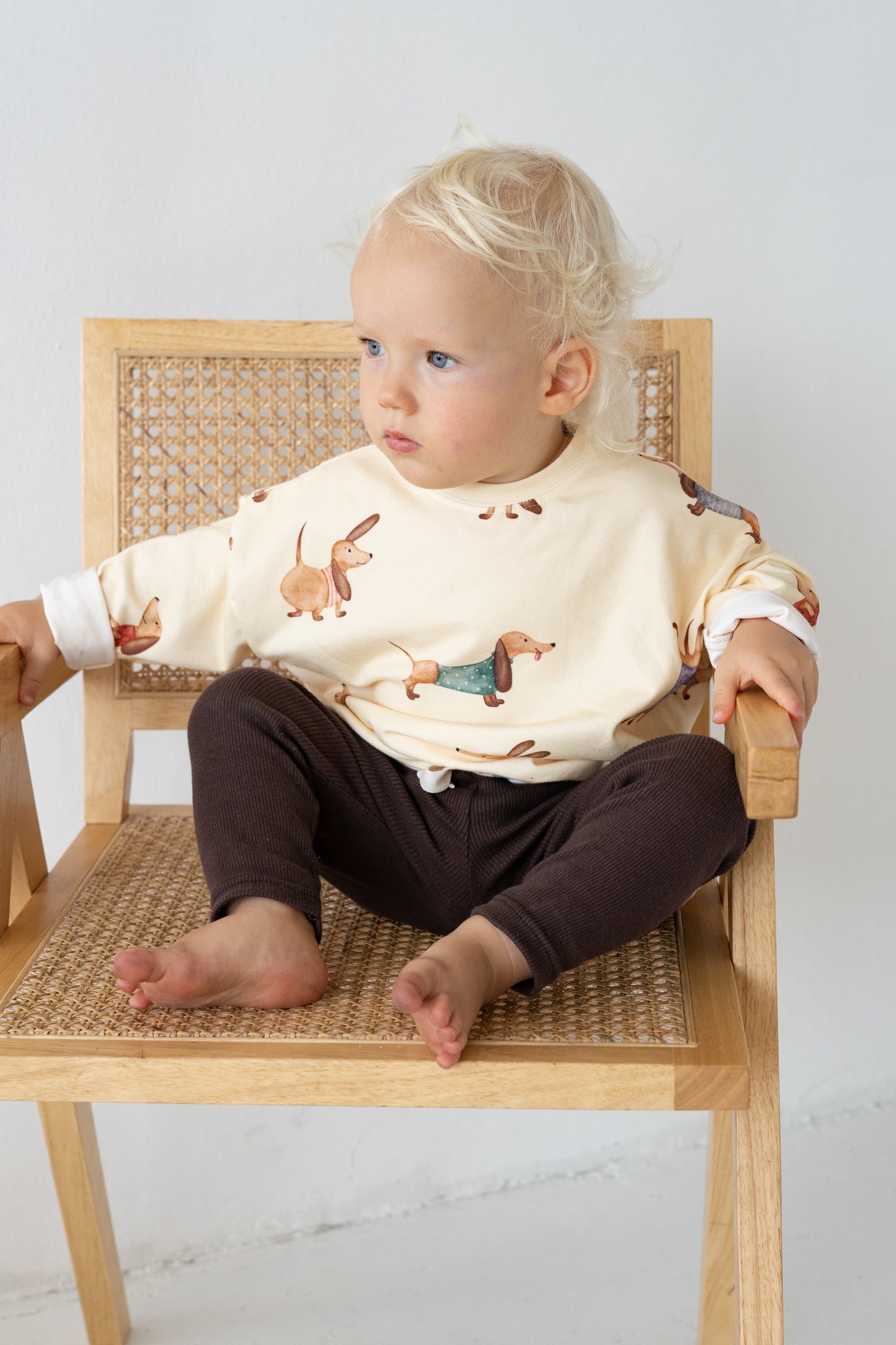 Longsleeve JAMNIKI
