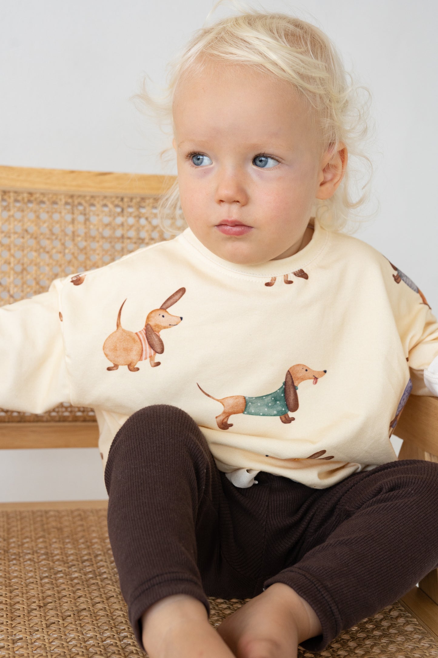 Longsleeve JAMNIKI