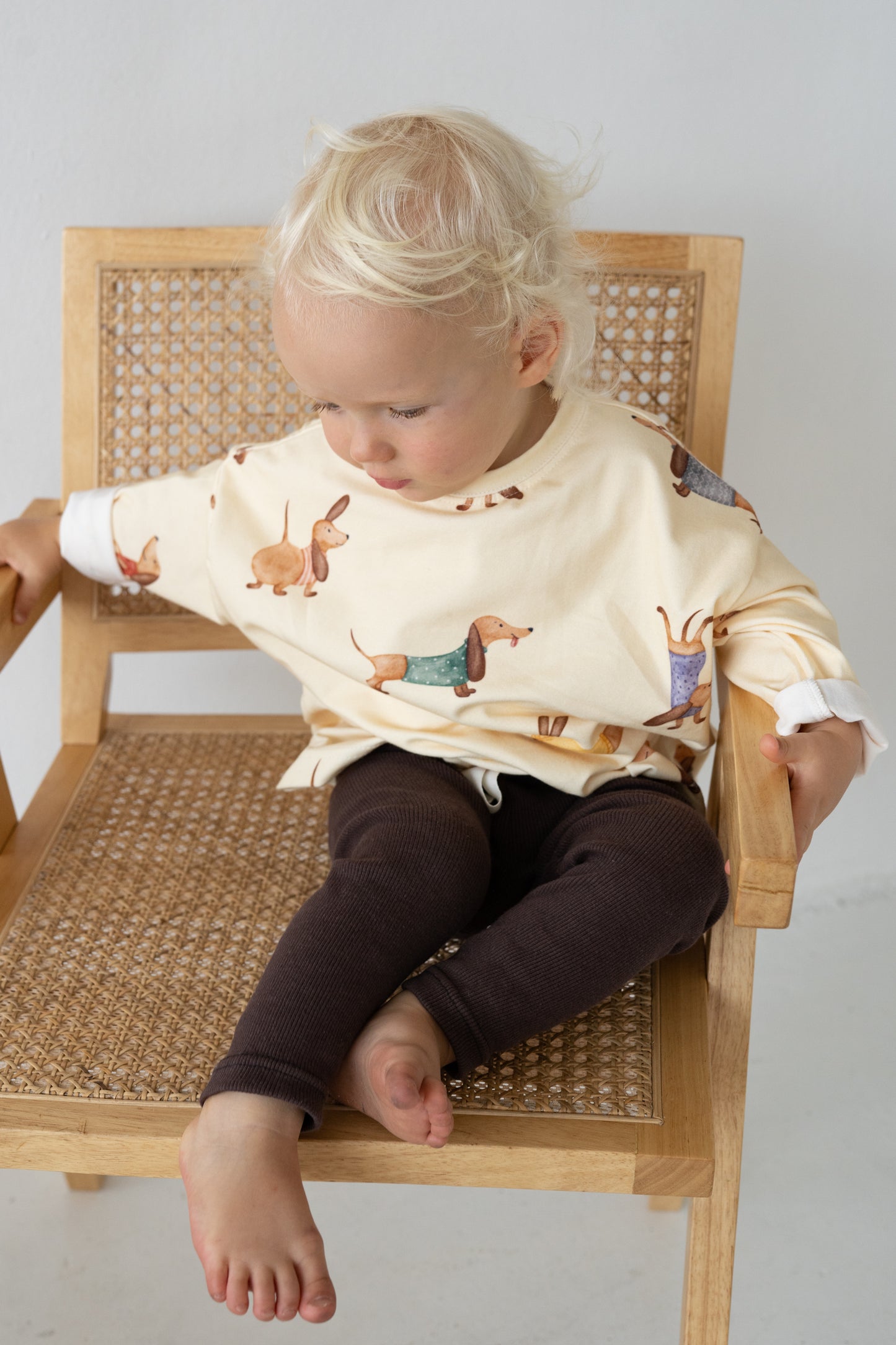 Longsleeve JAMNIKI