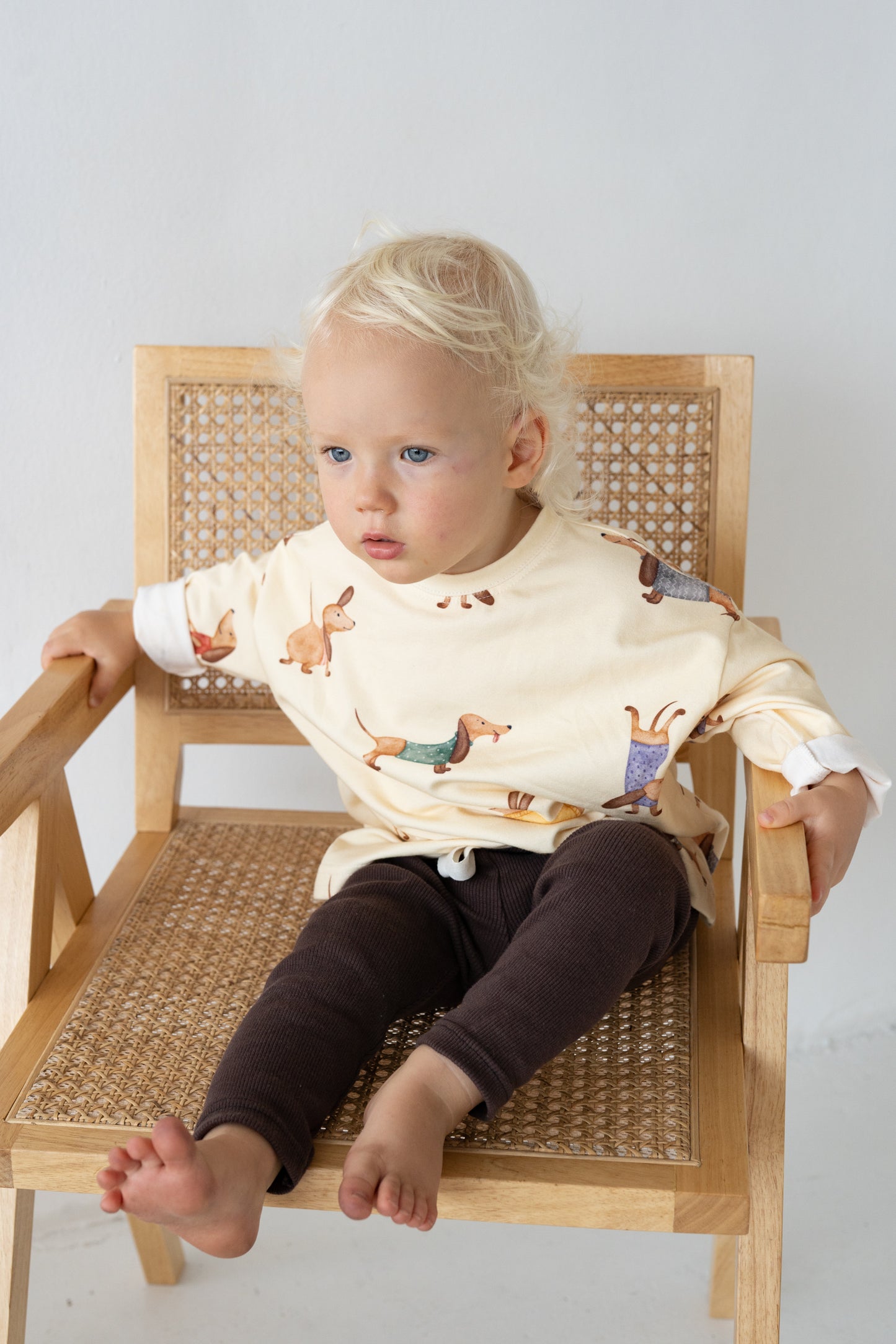 Longsleeve JAMNIKI