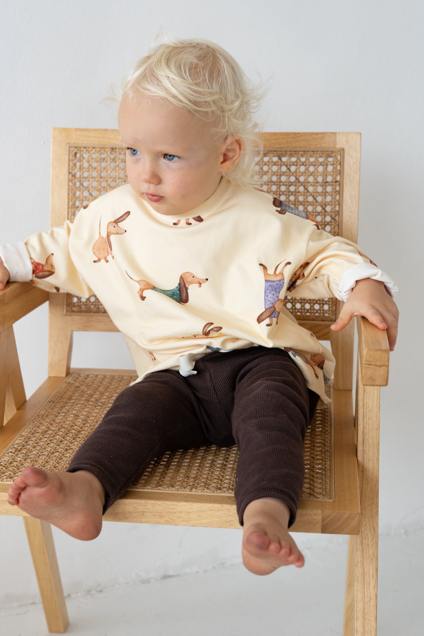 Longsleeve JAMNIKI