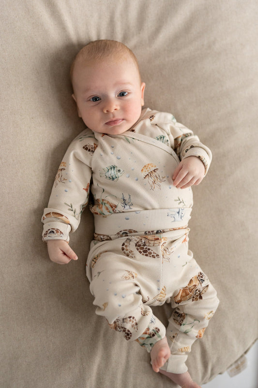 Body kopertowe ŻÓŁWIKI