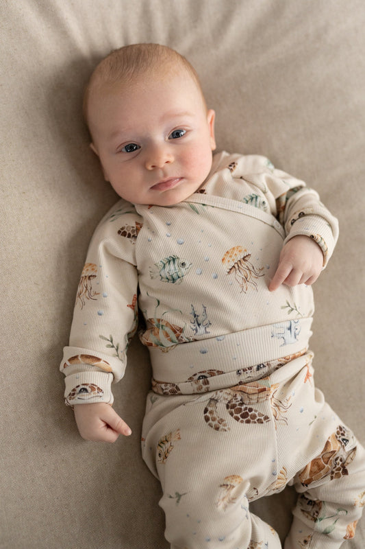 Body kopertowe ŻÓŁWIKI