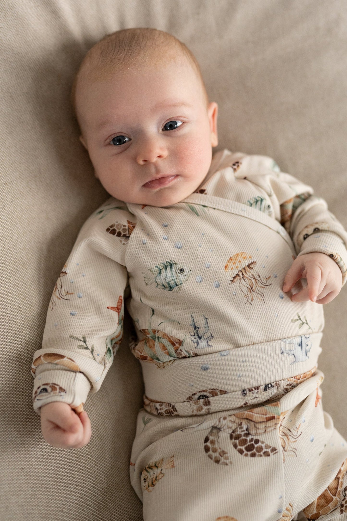 Body kopertowe ŻÓŁWIKI