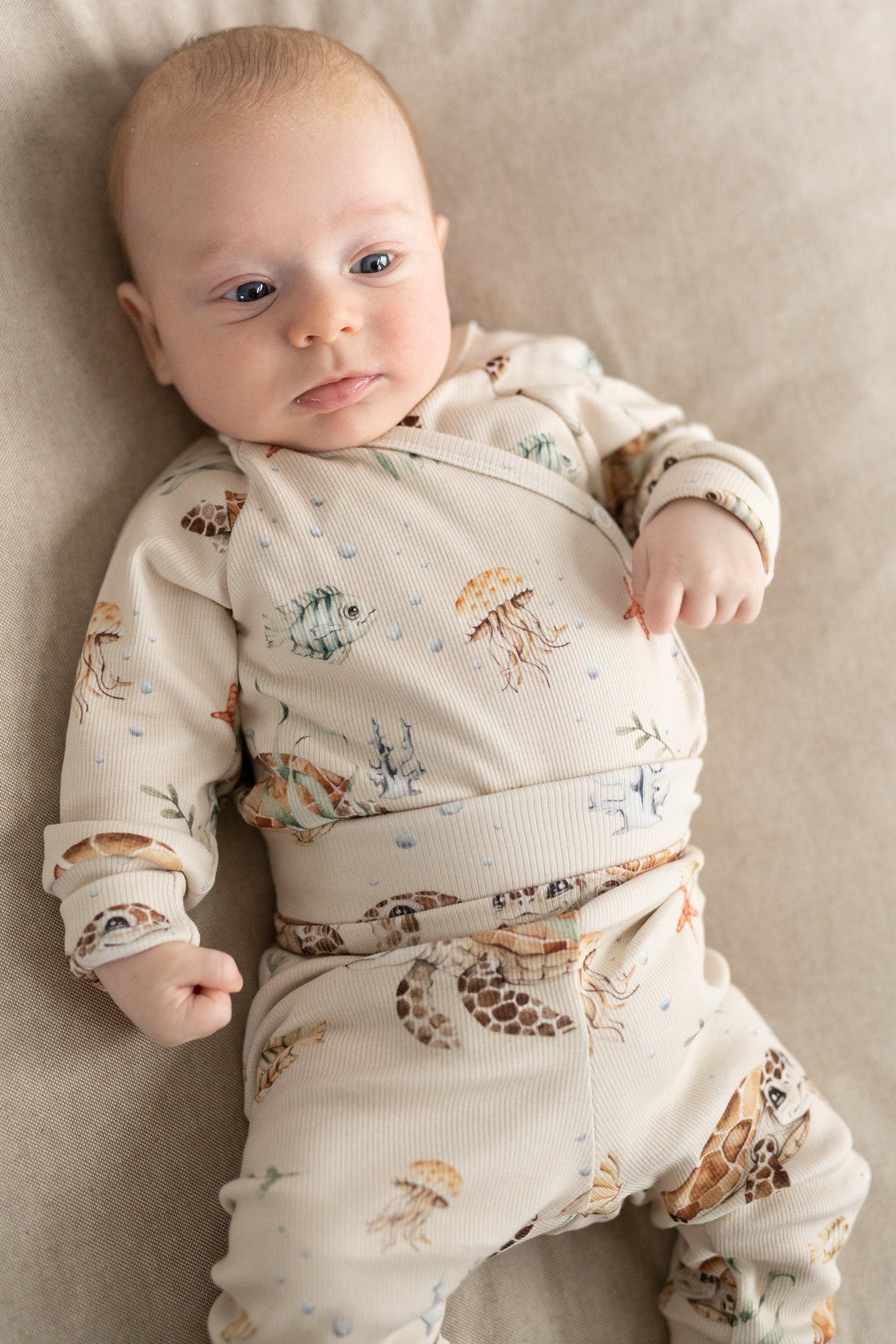 Body kopertowe ŻÓŁWIKI