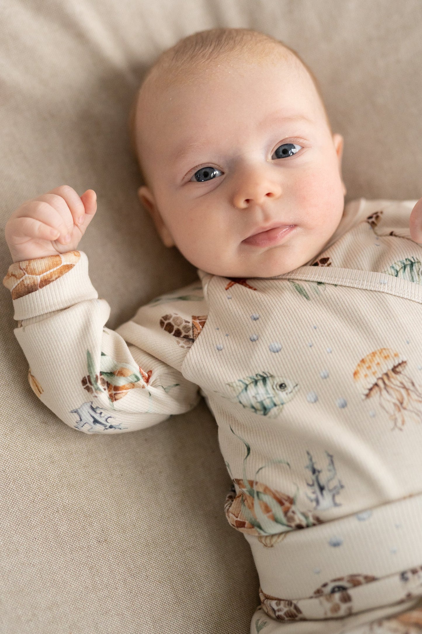 Body kopertowe ŻÓŁWIKI