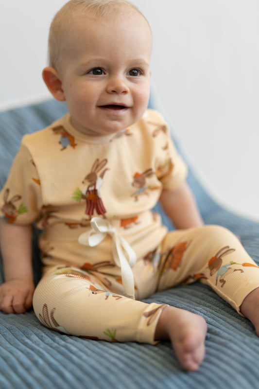 Body rosnące RABBIT