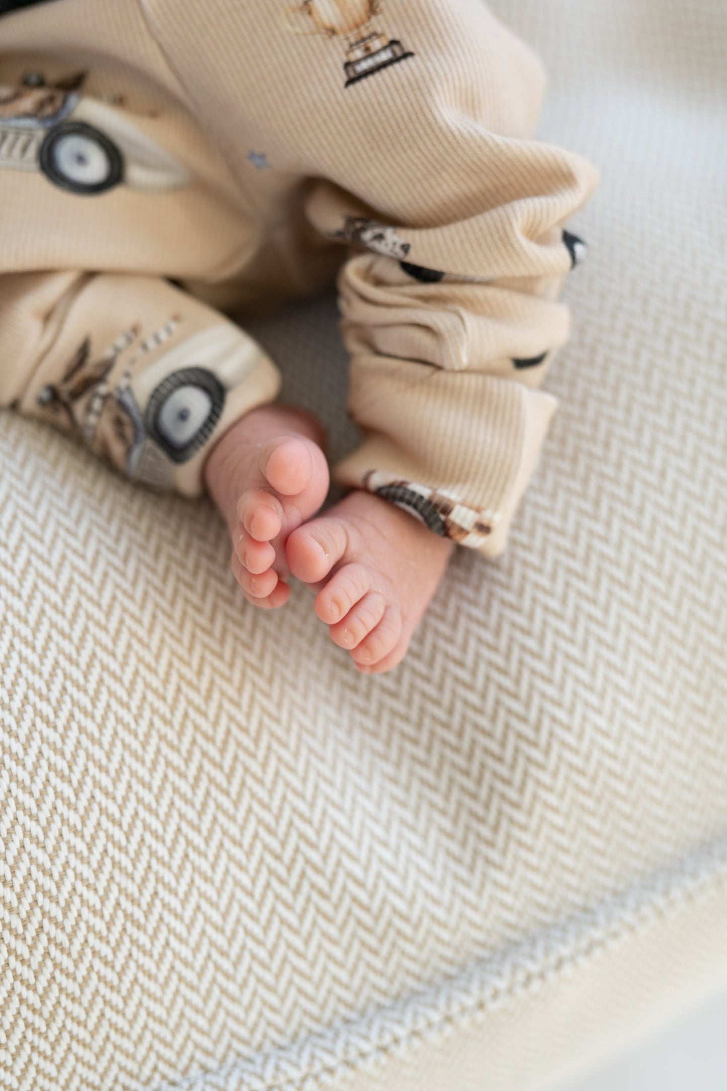 Legginsy rosnące RETRO DOG