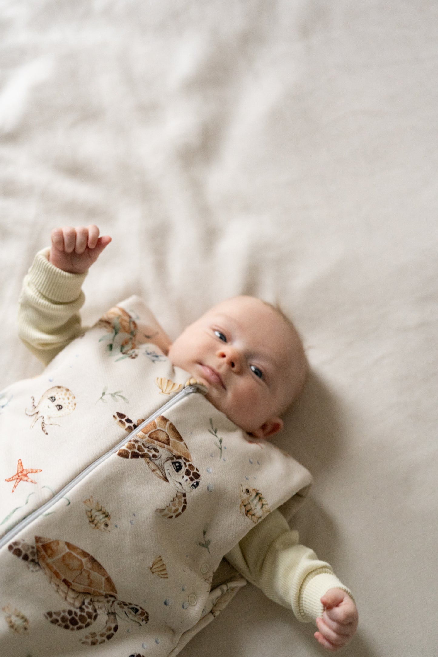 Śpiworek Żółwiki