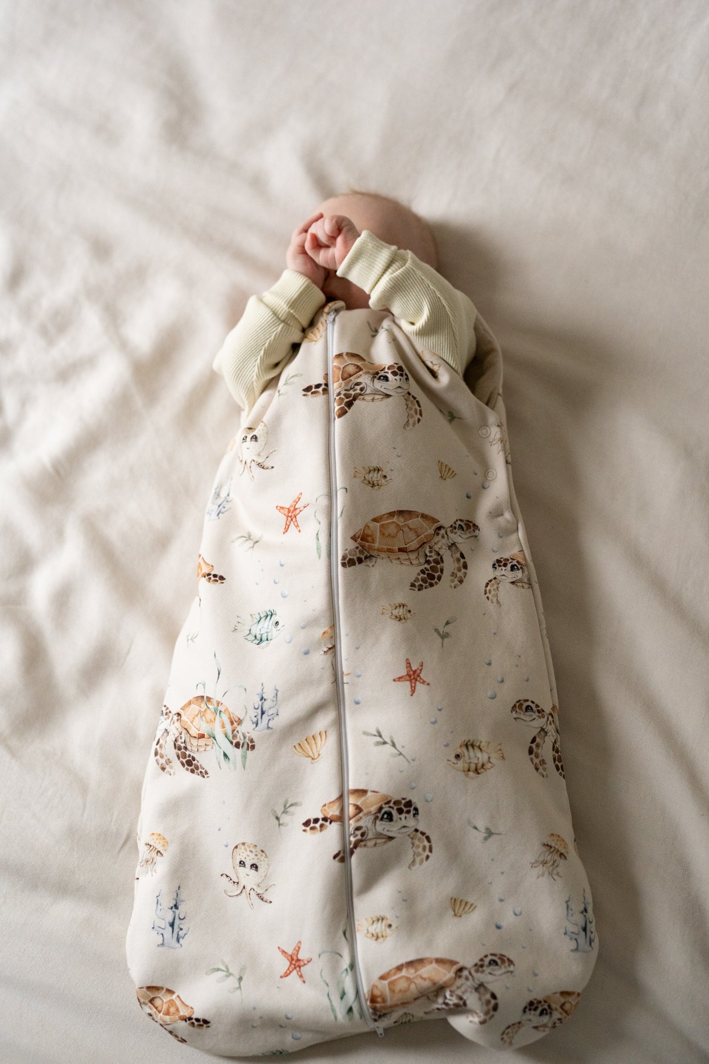 Śpiworek Żółwiki