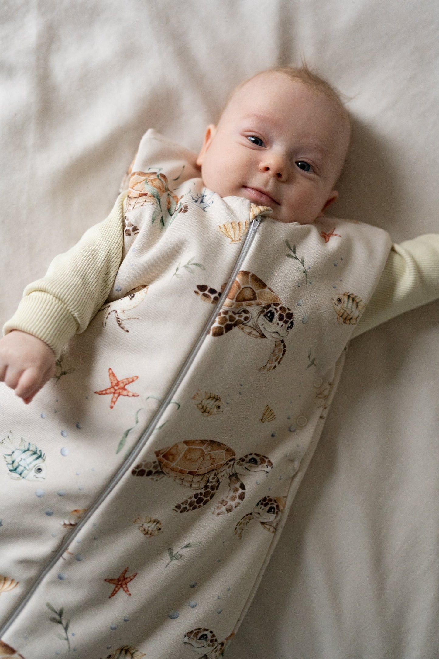 Śpiworek Żółwiki