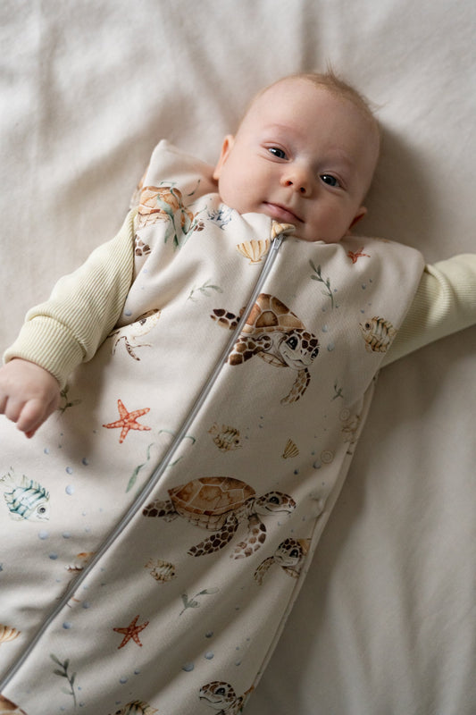 Śpiworek Żółwiki