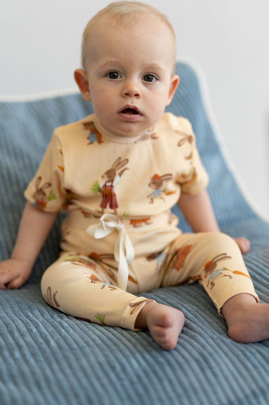 Body rosnące RABBIT